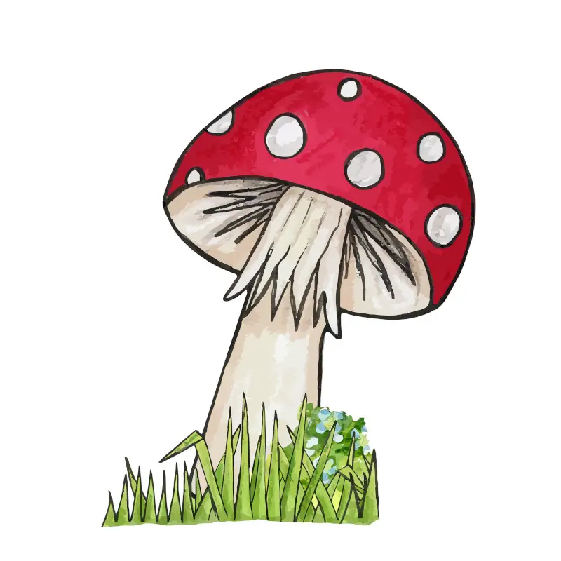 Red Headed Mushroom with White Spots